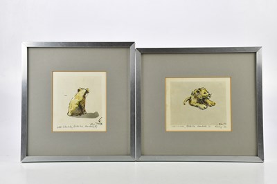 Lot 1735 - HAROLD FRANCIS RILEY BL D LITT FRCS (HONS) DFS...