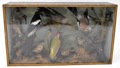 Lot 653 - A late 19th/early 20th century cased display...