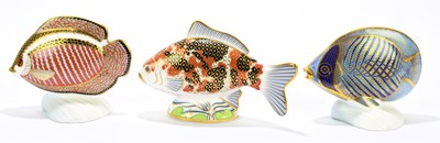 Lot 636 - ROYAL CROWN DERBY; three animal form...