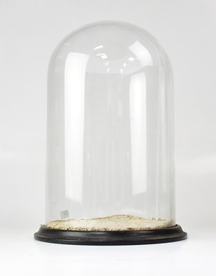 Lot 590 - A large glass display dome and stand, height...