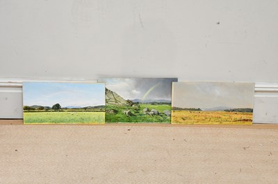 Lot 1797 - TOM DEARDON; three oils on board, each of...