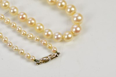Lot 300 - A graduated hand tied cultured pearl necklace...