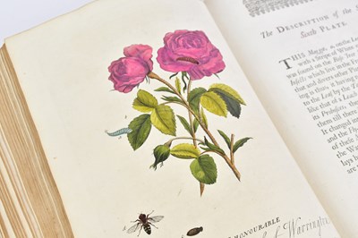 Lot 9 - ALBIN (E), A NATURAL HISTORY OF ENGLISH...
