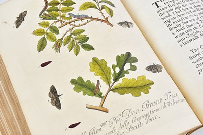 Lot 9 - ALBIN (E), A NATURAL HISTORY OF ENGLISH...