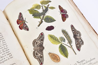 Lot 9 - ALBIN (E), A NATURAL HISTORY OF ENGLISH...