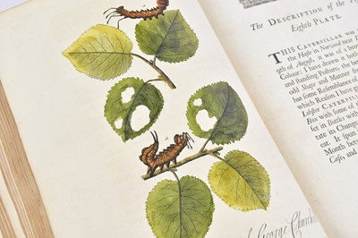 Lot 9 - ALBIN (E), A NATURAL HISTORY OF ENGLISH...