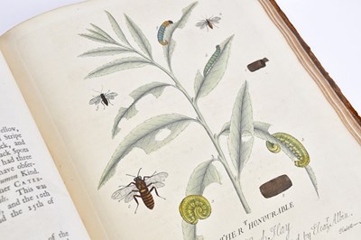 Lot 9 - ALBIN (E), A NATURAL HISTORY OF ENGLISH...