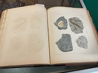 Lot 39 - MAMMATT (E), A COLLECTION OF GEOLOGICAL FACTS...
