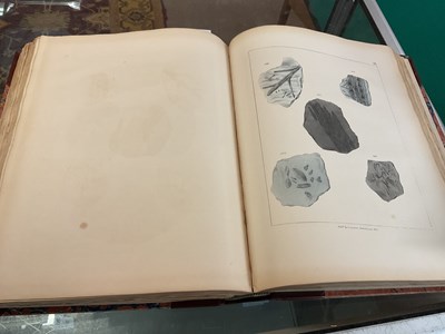 Lot 39 - MAMMATT (E), A COLLECTION OF GEOLOGICAL FACTS...