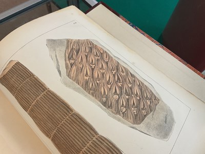 Lot 39 - MAMMATT (E), A COLLECTION OF GEOLOGICAL FACTS...