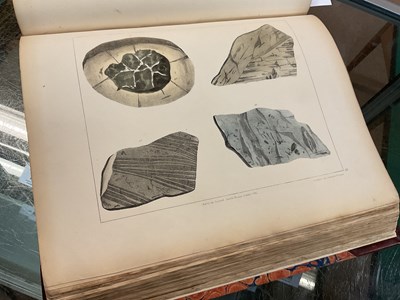 Lot 39 - MAMMATT (E), A COLLECTION OF GEOLOGICAL FACTS...