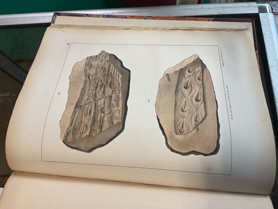 Lot 39 - MAMMATT (E), A COLLECTION OF GEOLOGICAL FACTS...