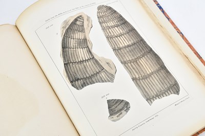 Lot 39 - MAMMATT (E), A COLLECTION OF GEOLOGICAL FACTS...
