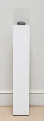 Lot 179 - JAKE & DINOS CHAPMAN (b.1966, 1962); limited...