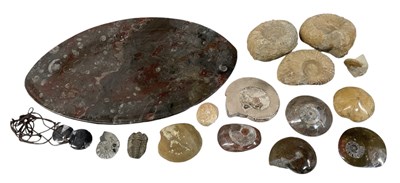Lot 291 - An oval marble tray set with ammonite fossils,...