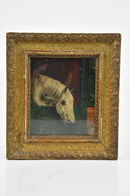 Lot 1724 - UNATTRIBUTED; oil on board, study of horse,...